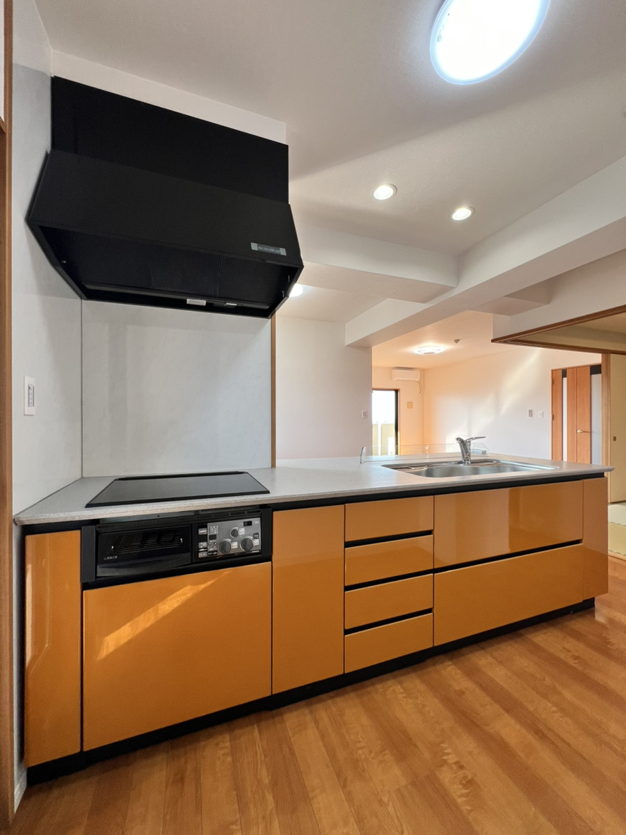 ゆとりと眺望を手に入れる、115㎡超の再生レジデンス